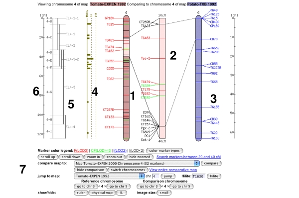 comparative viewer